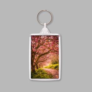 To buy a print or any of the below please click on the images